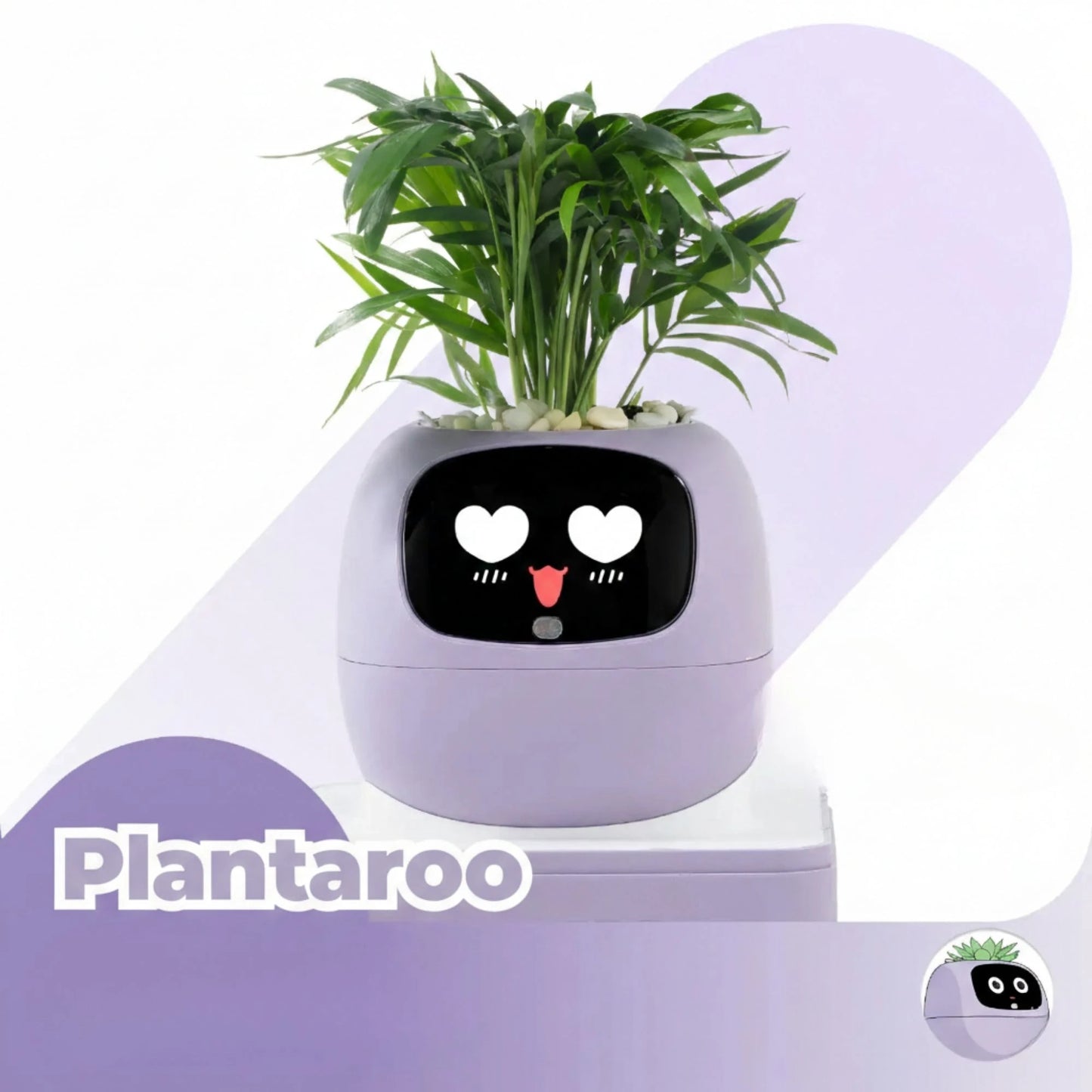 Plantaroo
