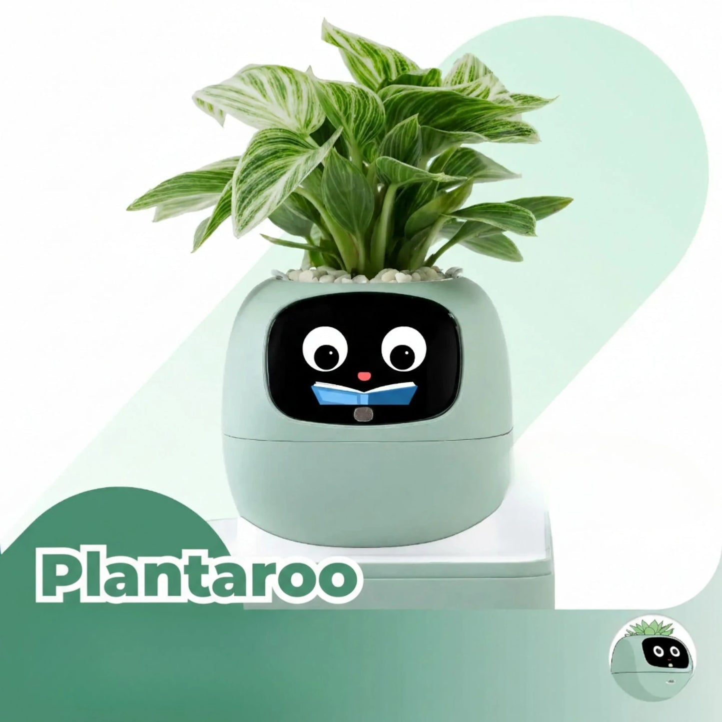 Plantaroo