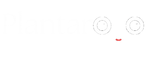 Plantaroo